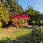 Heritage Homes Mehmet Ali Aga Konagi 4* ダッチャ