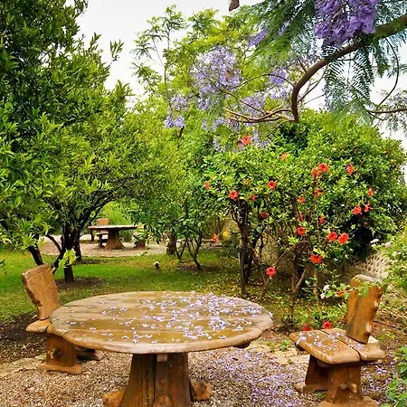 Mehmet Ali Aga Mansion 5* דטקה